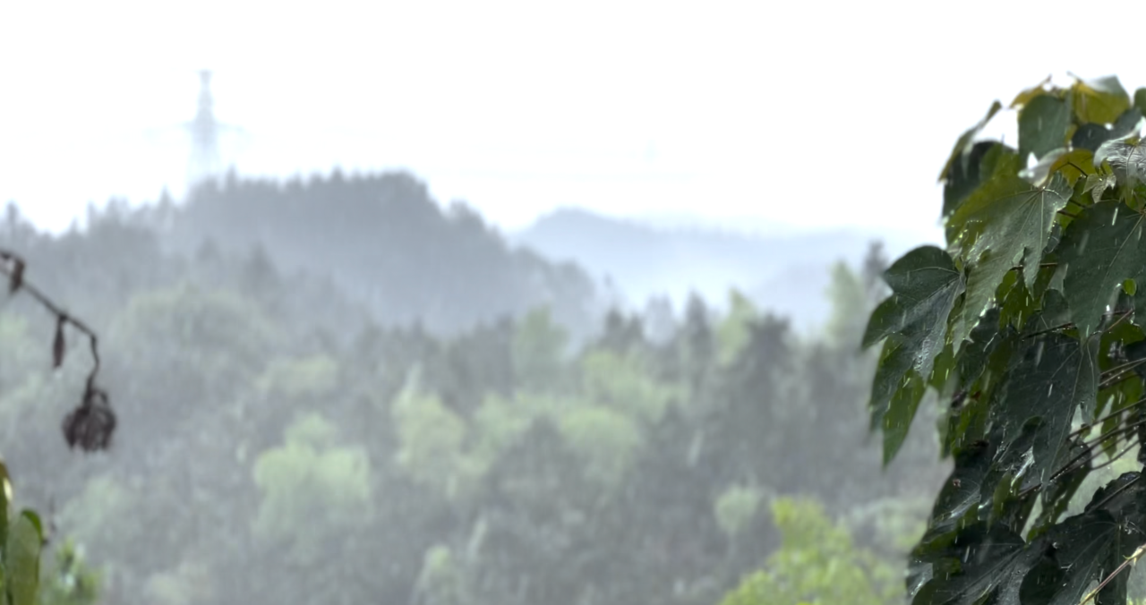 image.gif